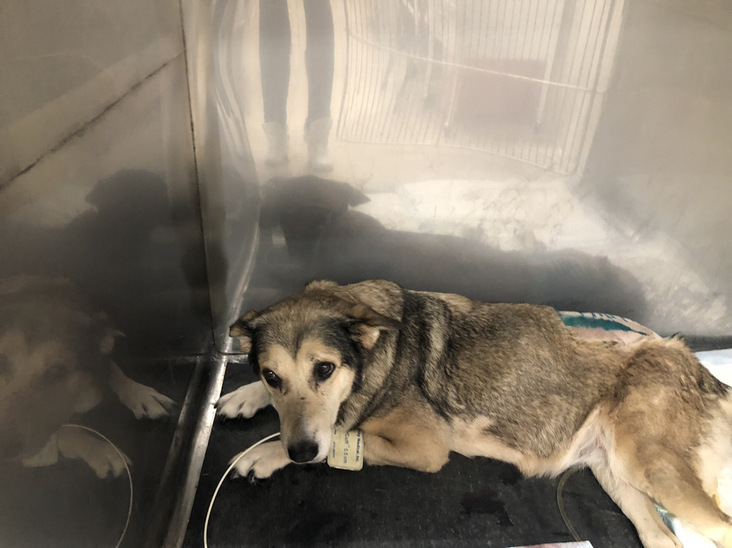 BA32C737-70CE-46FC-ADD2-E4FDA0891C7F