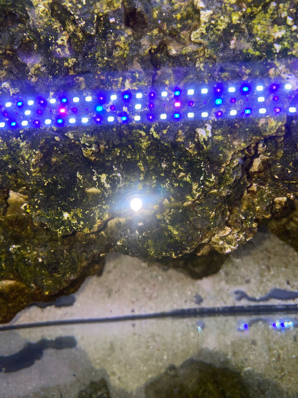 Whats App Image 2026 03 18 at 22 44 24