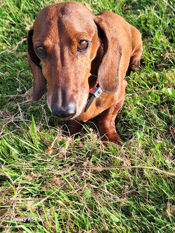 [Image: 20240628-195618.jpg]