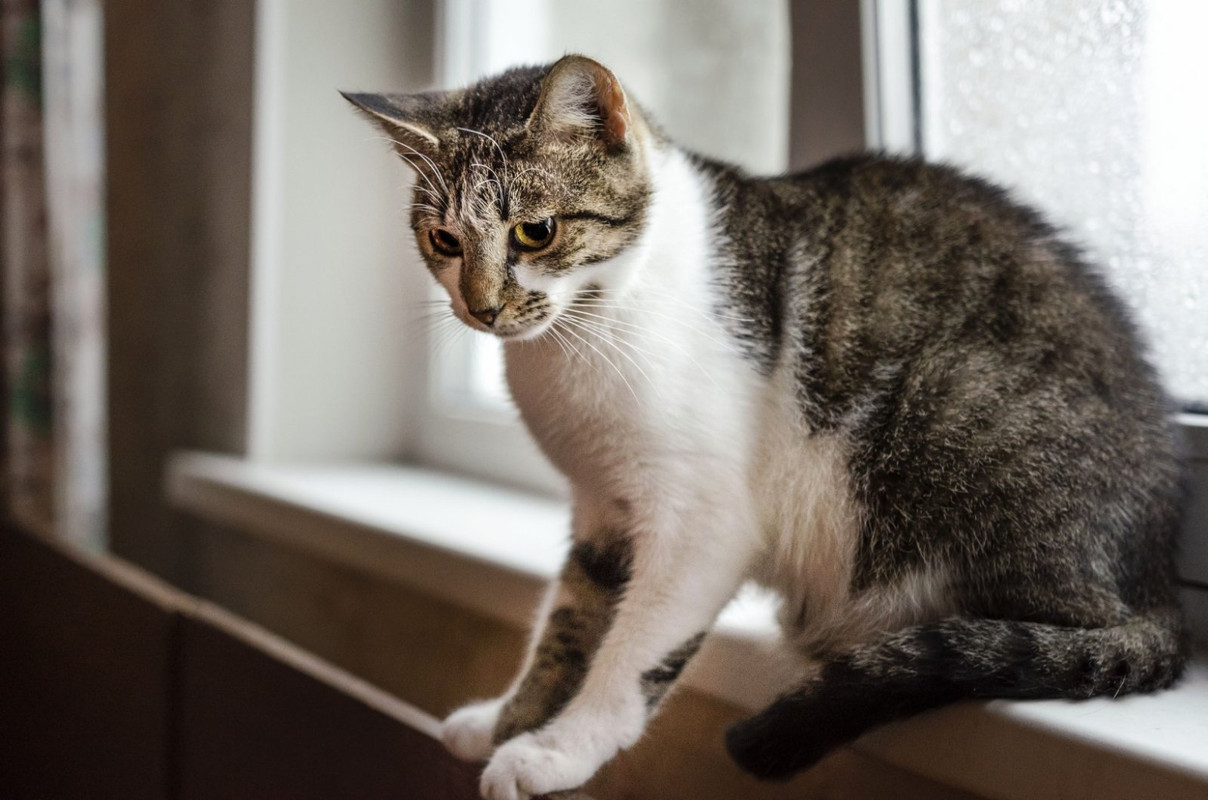 IMG-5d25f6db948fe3d8b61aa3e892f4ea75-V