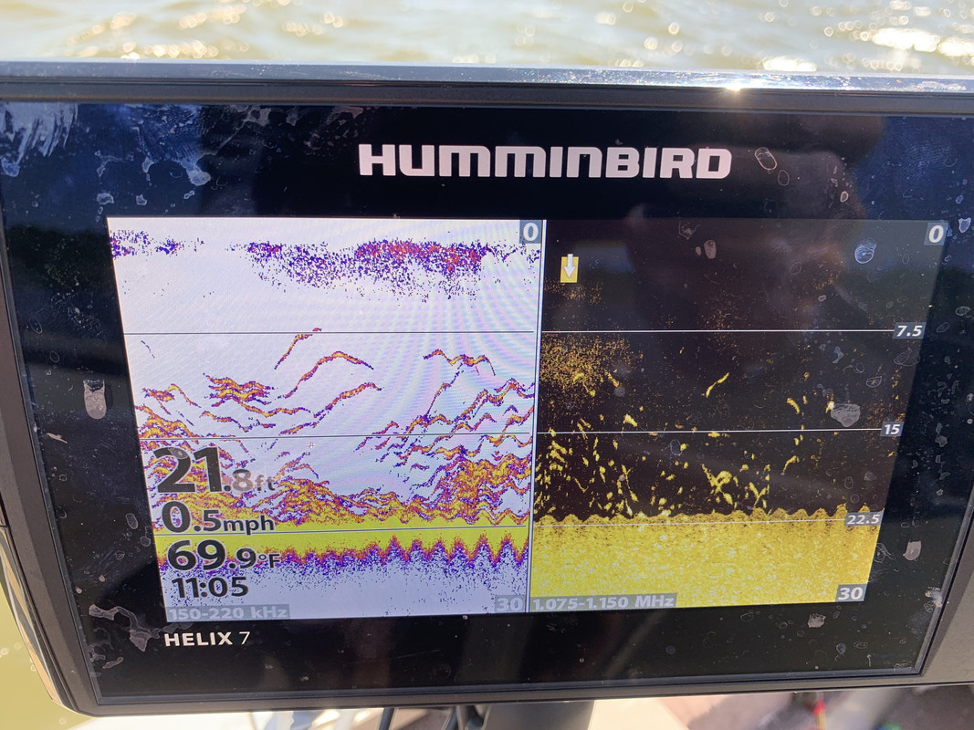 57007AD6-8893-43D1-8AE4-2A7938CC960A