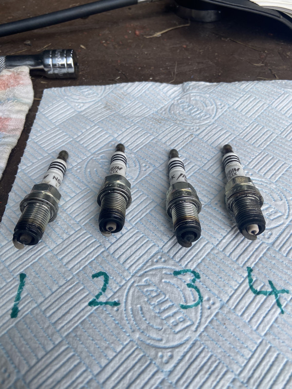 D4D89BB4-5DFC-425F-8D86-E1BFE939D99C