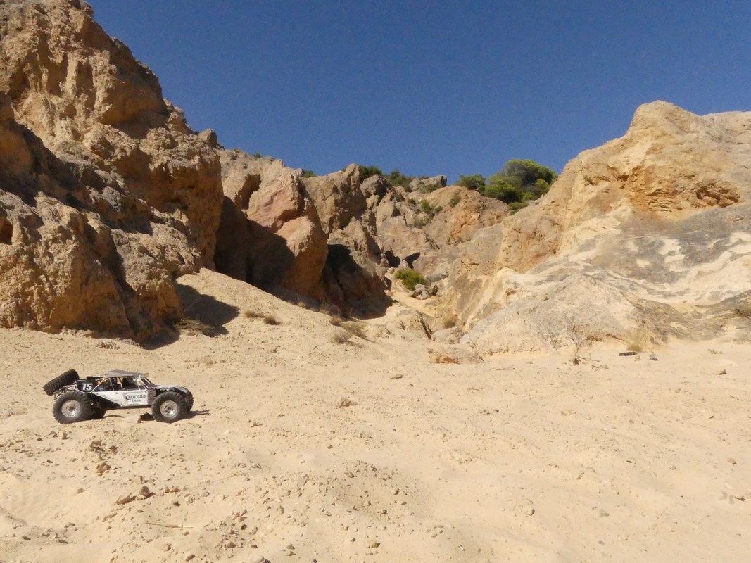 116181962_741856539932031_3408321774988460970_n