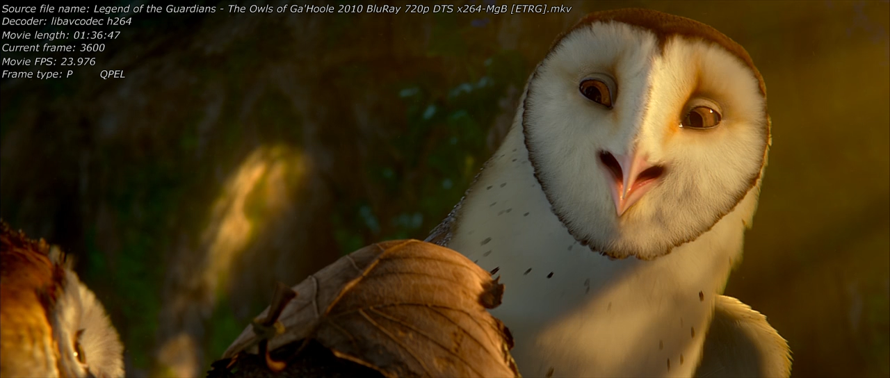 Legend of the Guardians - The Owls of Ga'Hoole 2010 Screen 01