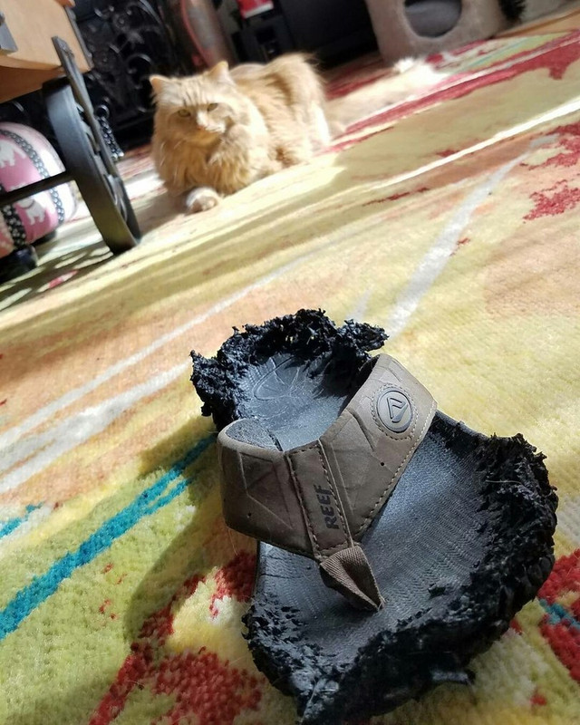 8qZKDtnLlEeBFWA5jZtH7jPEaEcASbo2ZZ3NX4lwPcNFv0xGQxqMrCQYxEEErq6thIsgxA