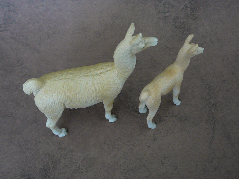 Mojö 2019 Llama and Cria- a walkaround by A.R.Garcia P1090609ed