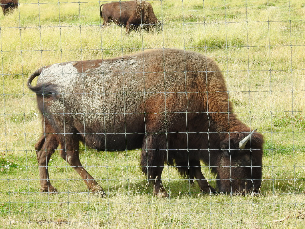 E4496929-822E-4CFE-9DA4-2877B0FDE77C