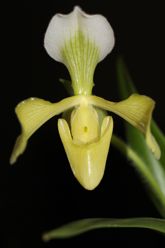 FB4E85EA-32B1-4724-8F0E-2A68EAB307C8