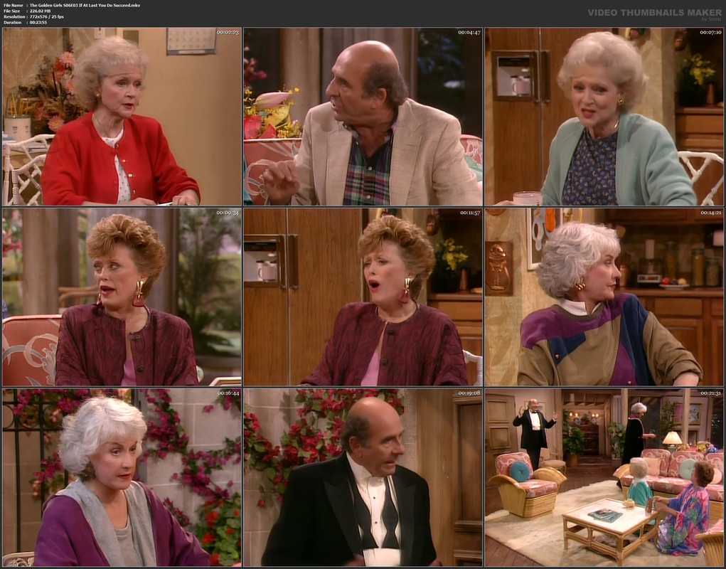 The Golden Girls S06E03 If At Last You Do Succeed.mkv