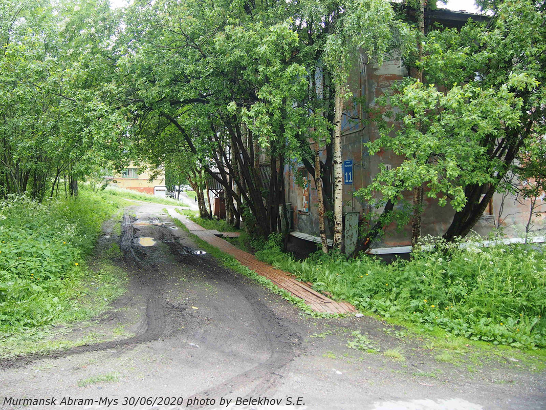 Абрам-Мыс, лето Абрам-Мыс, лето