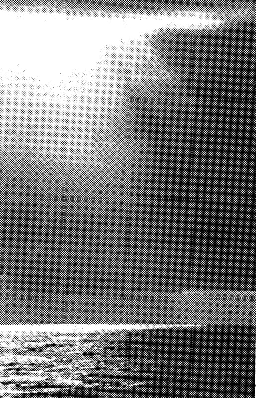 p0004