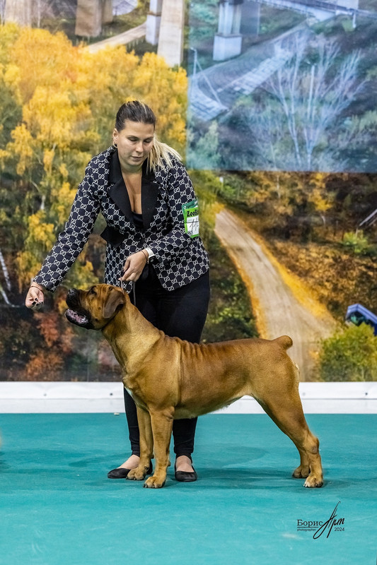 B6BkjTCiqN1iGAONSQRdf7TfYb2ODO-HfhJYKlsl2fvY2o12Ao9qyG3Z0tADrfngRe99LHixdgVw7blvMgcVPzfJ