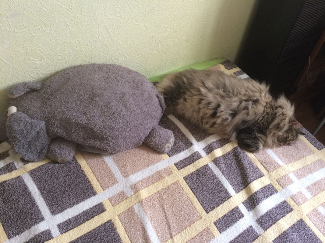 75881708-7A0F-4B3F-A6C5-630837AD758C