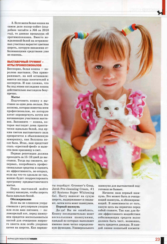 Друг кошек № 10 2010-24