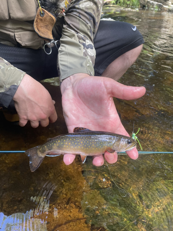 44A34169-BB4D-4B90-949B-DEE5F5746340