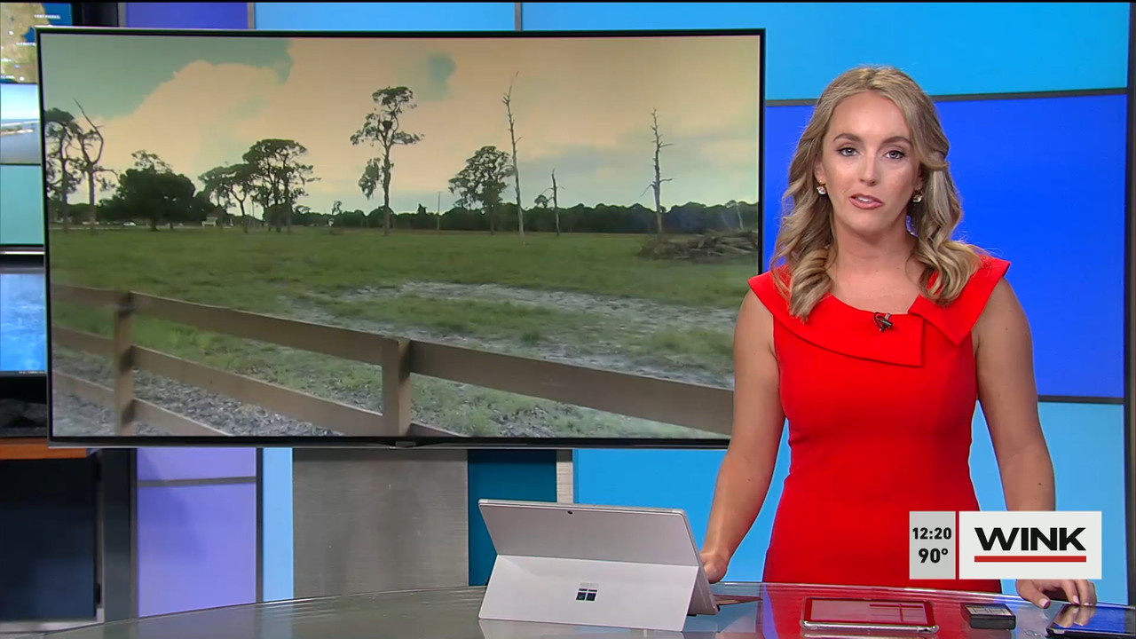 07.12 - 17.00.00 - The WINK Noon News  ᴺᵉʷ. Midday news update..ts_snapshot_27.24.165