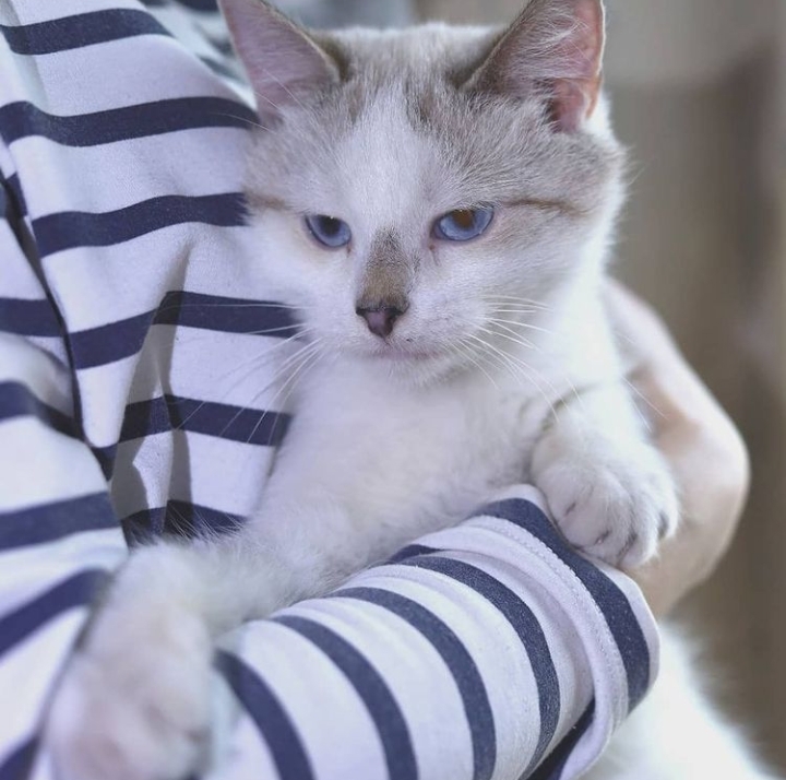 Screenshot_20210604-112917_Instagram