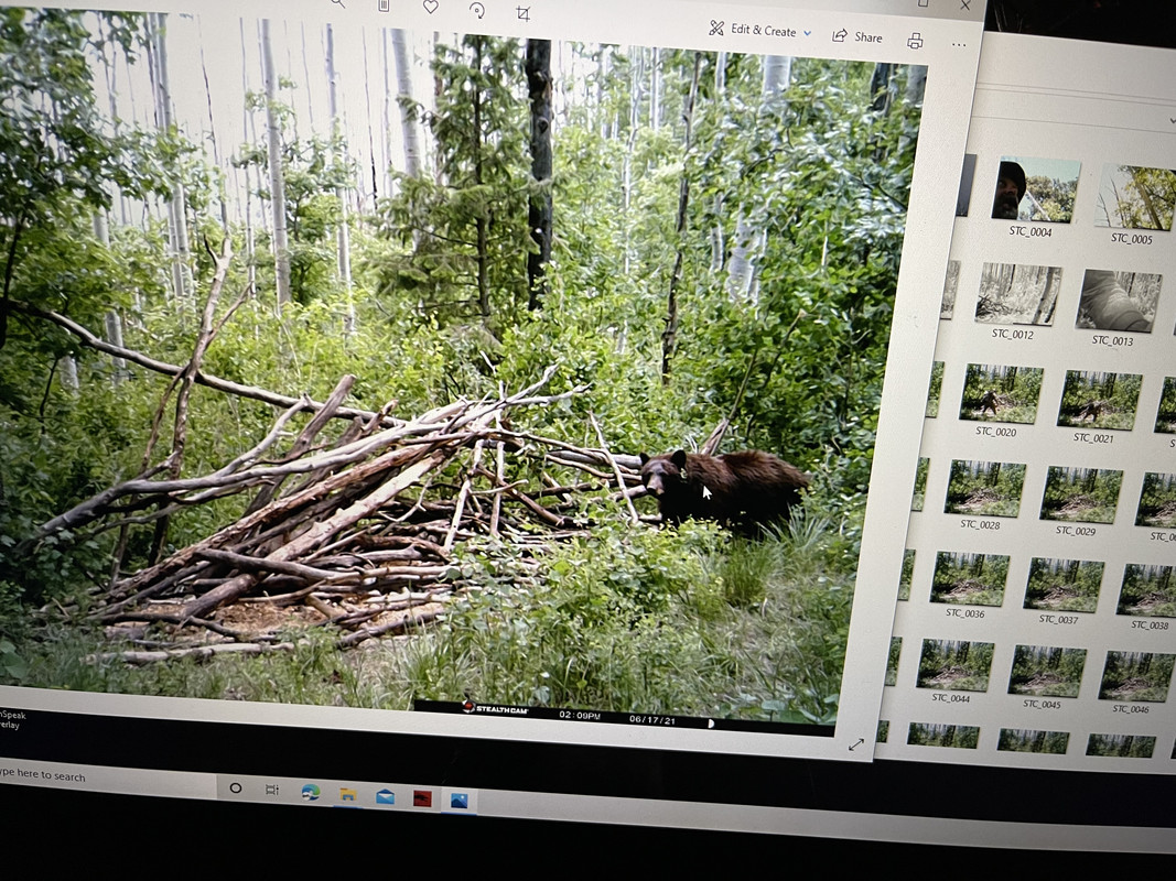 70AFC5E2-0B77-4309-AF88-7CC9580DCD94