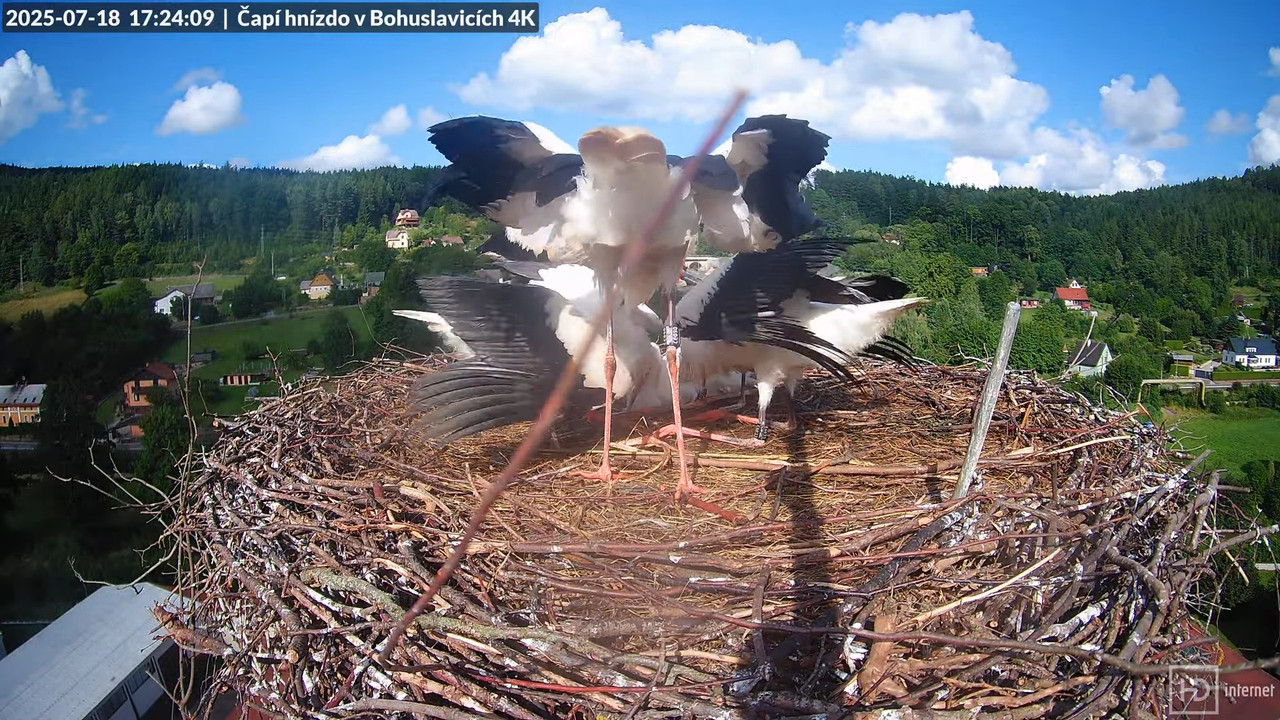 Živě z čapího komína firmy KARA v Bohuslavicích u Trutnova 13-21-50 screenshot