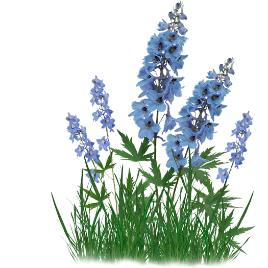 ISmellAutumn-LL-Element59