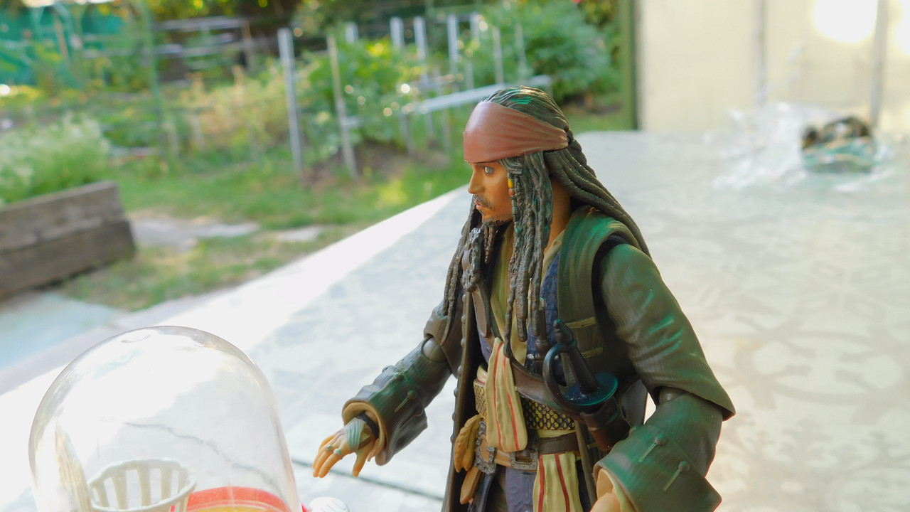 Дачно-Харлинский июнь-июль 2024 168