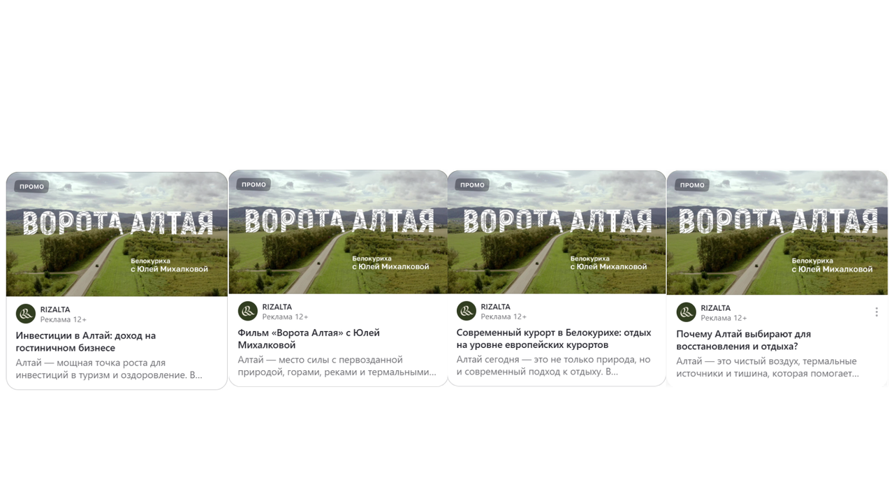 Кейс рекламы в Дзен для инвест-проекта