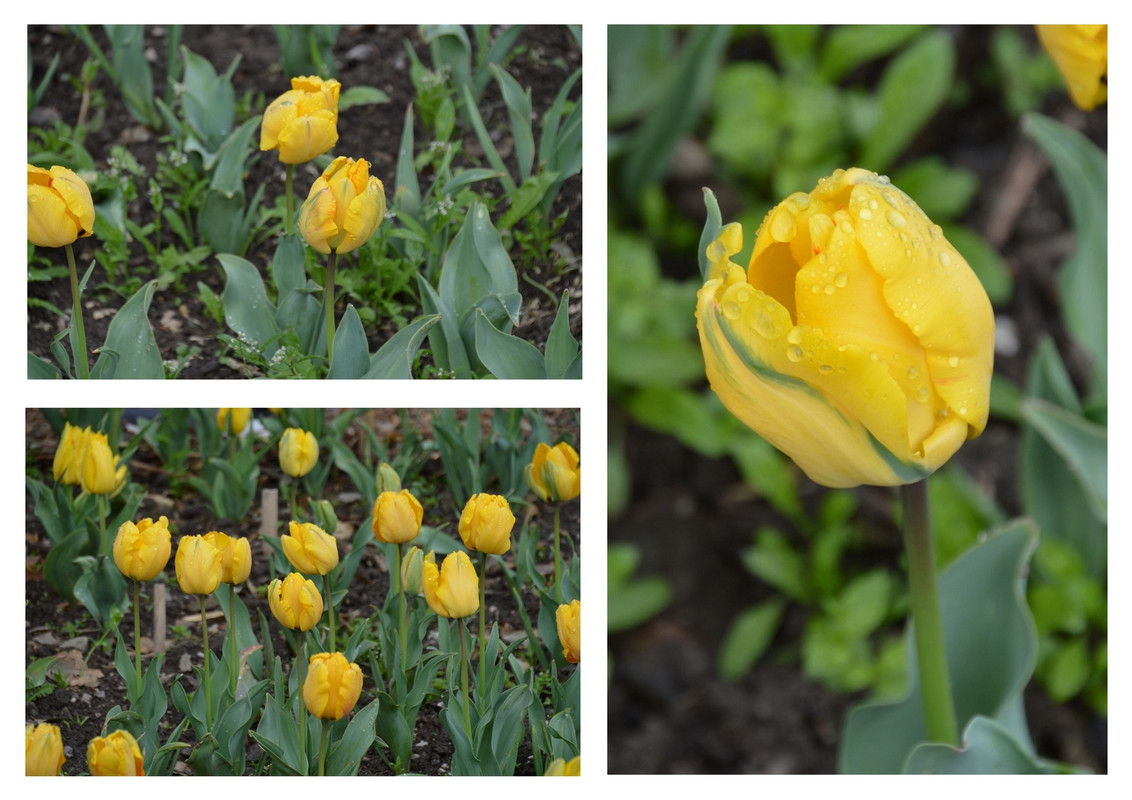 Новый коллаж.jpg 69