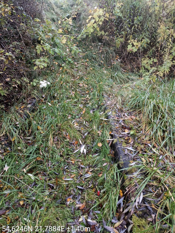 IMG 20251029 202435 548