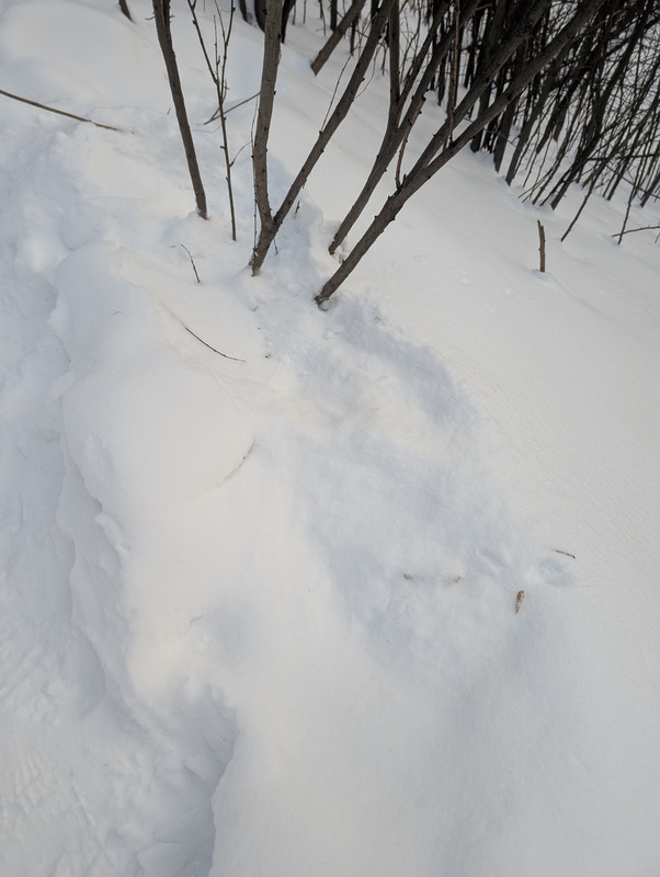 PXL 20260127 110310516