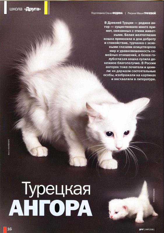 Друг кошек 2006-05-15