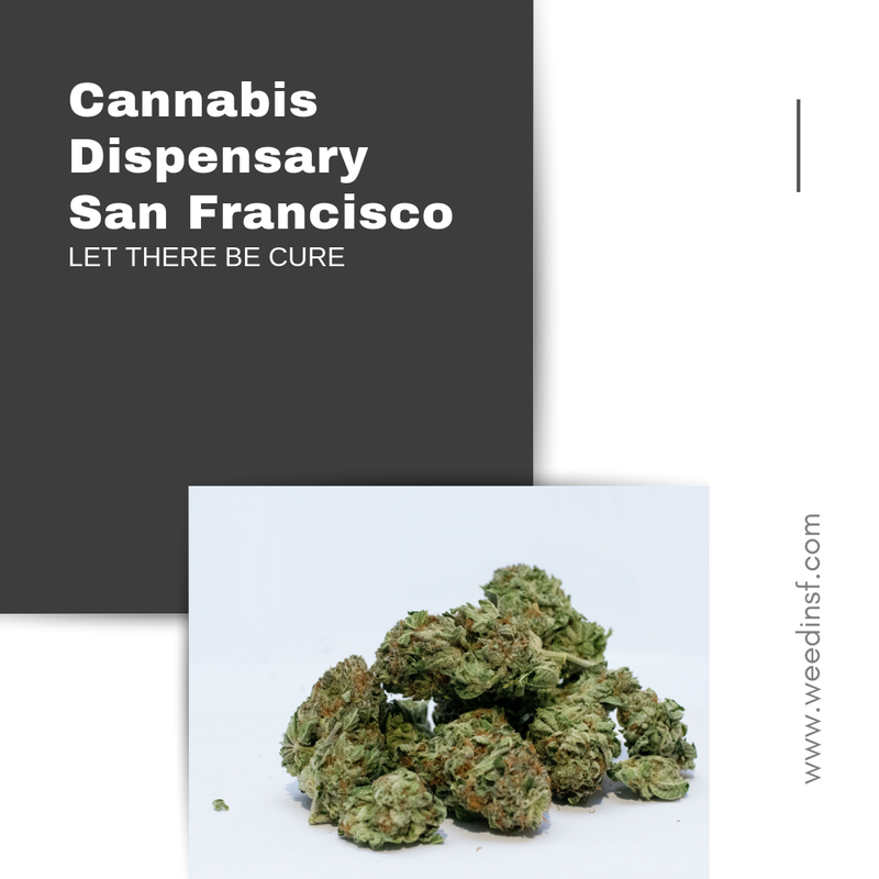 Cannabis Dispensary in San Francisco