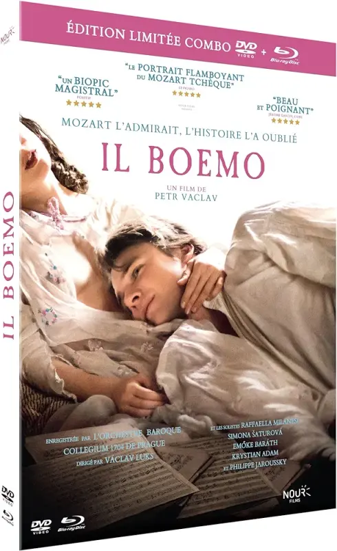 81nkQVXRQML._AC_UF1000,1000_QL80_FMwebp_