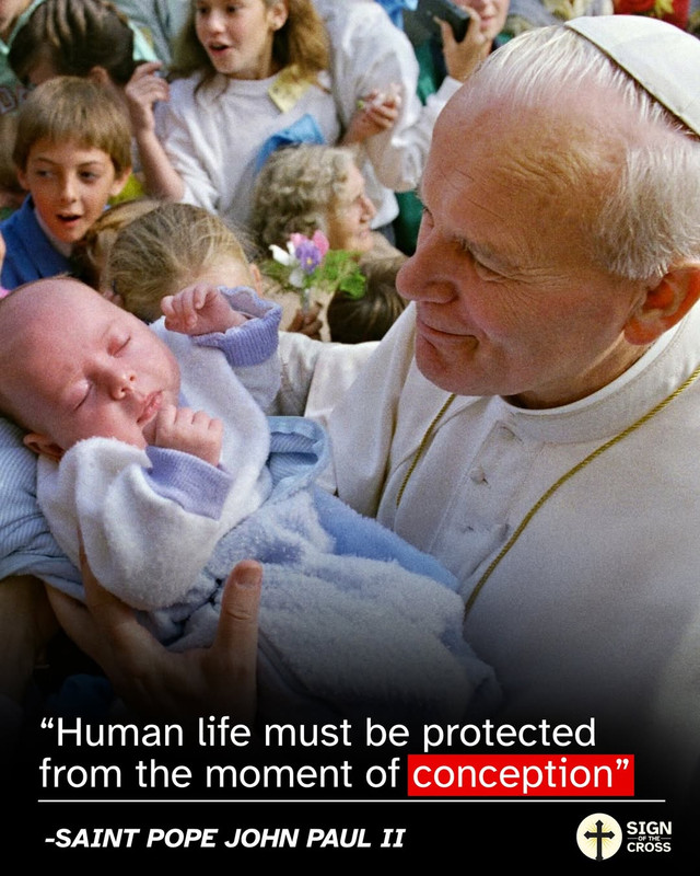 618272004-1201482128847734-6878458054453