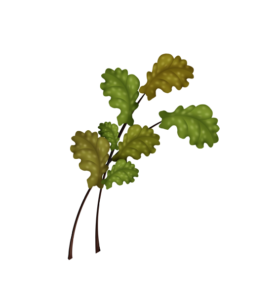 143790041_LMB_Fall_Bounty_Element_24