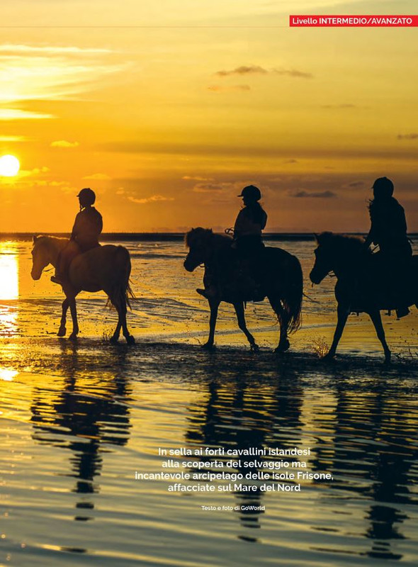 Il Mio Cav (Giu 2022) 8