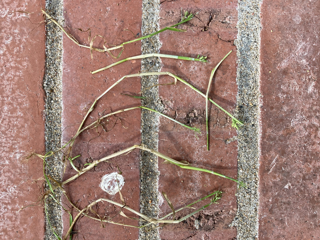 D59B9C60-CA79-4850-B0DB-E38395952EA1