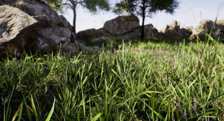 Create a Photorealistic Grassy Field in Unreal Engine!