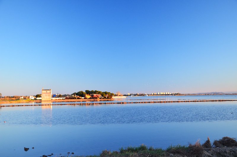 Valencia y sus pueblos-2005/2024 - Blogs de España - Parque Natural de La Albufera-21-12-2024 (5)