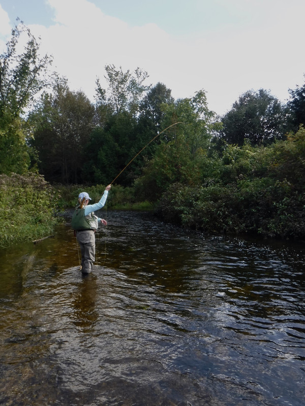 7C19C34A-2670-44B9-B9EC-DA4526B22EF4