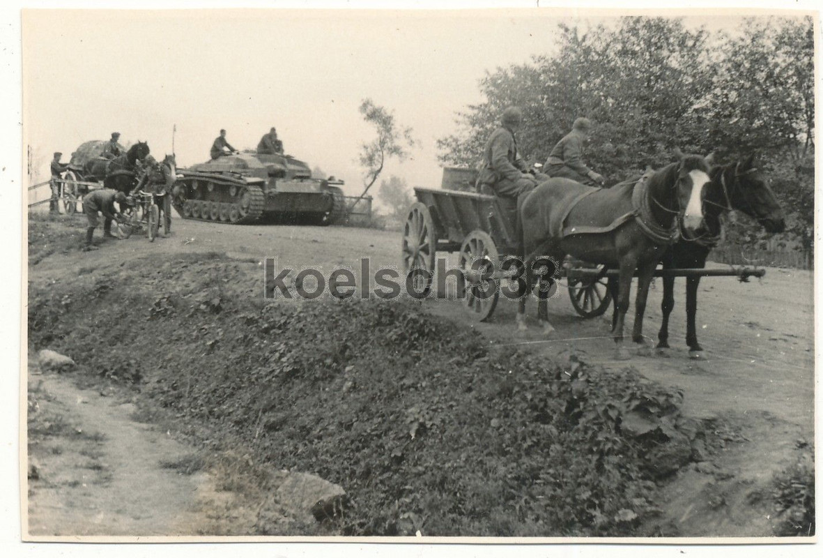 Foto Sturmgeschütz Panzer Pferde Gefechtswagen Wehrmacht 19. ID 