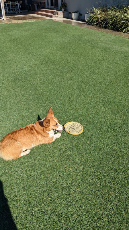 PXL_20220612_234555025