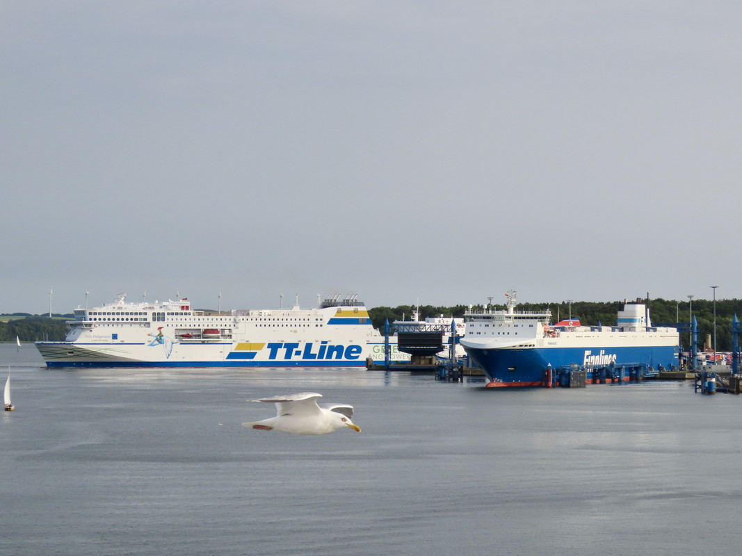 EBF1E396-BD63-45FF-B355-1A3AFFBDF3F1