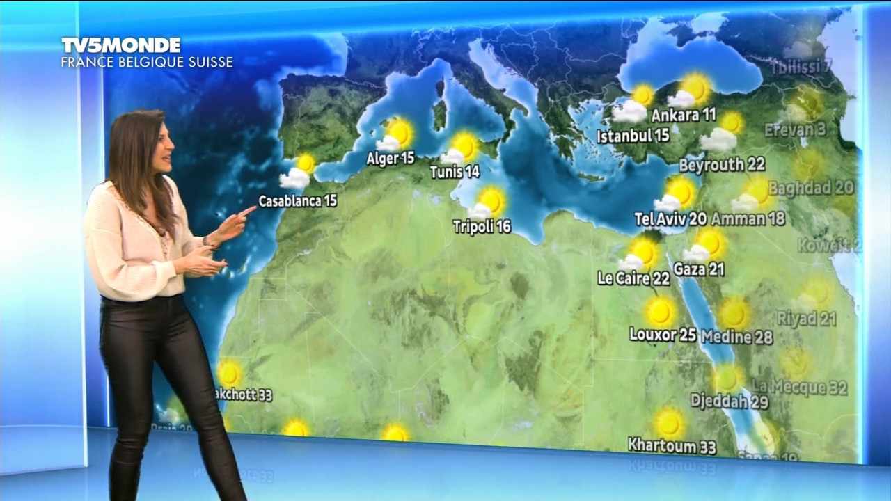 01.03 - 17.26.00 - Météo. Le bulletin météorologique international.ts_snapshot_07.58.826