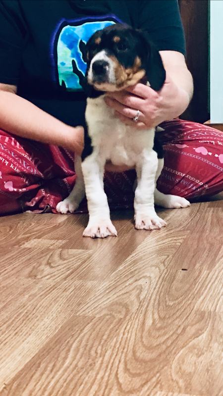 10ED89BB-3F18-4D44-938B-9B42C1FCA338