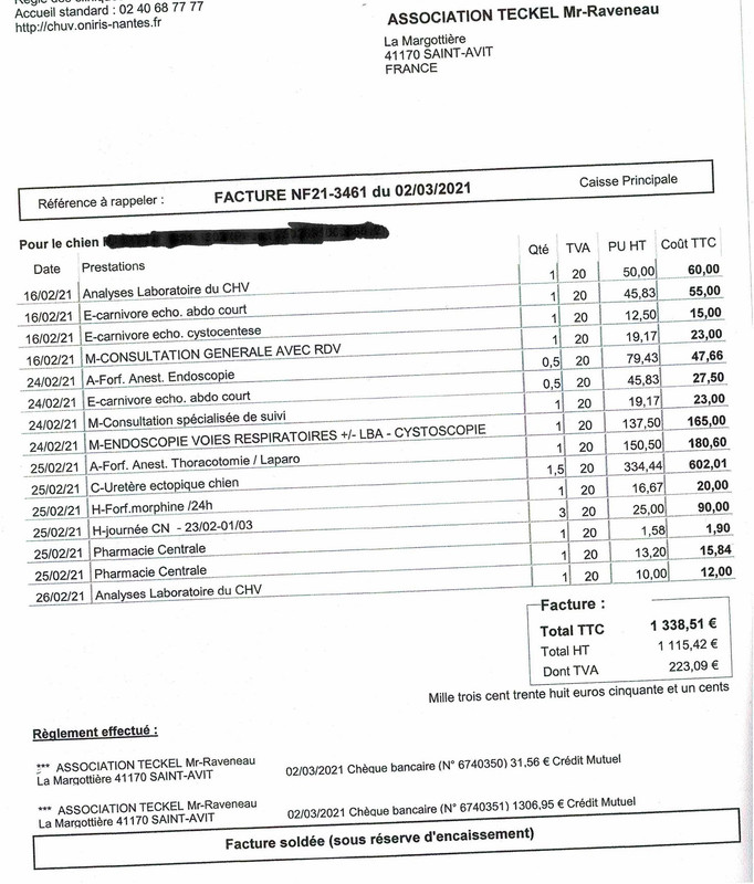 [Image: Num-risation-20210327-3.jpg]