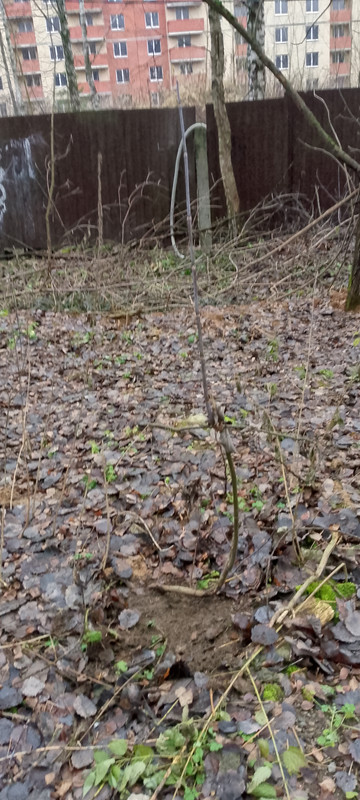 IMG 20251129 151734 588