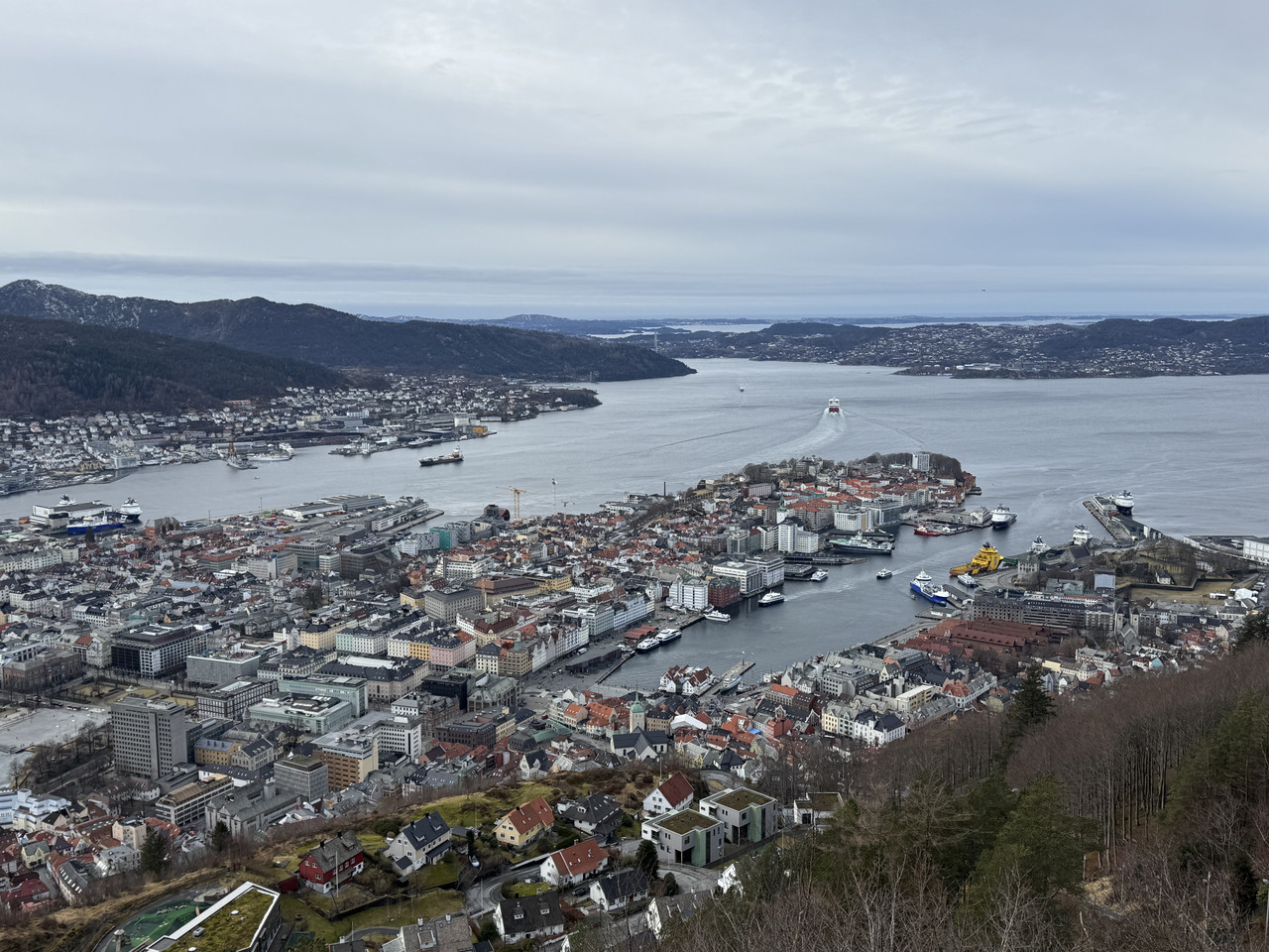 [Immagine: IMG-9764.jpg]