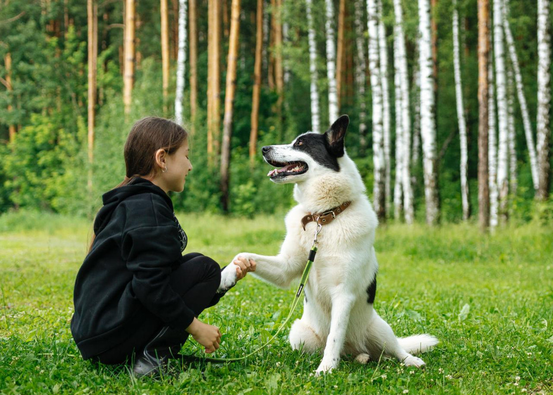 Изображение WhatsApp 2025-07-06 в 10.03.42_ecbb7769