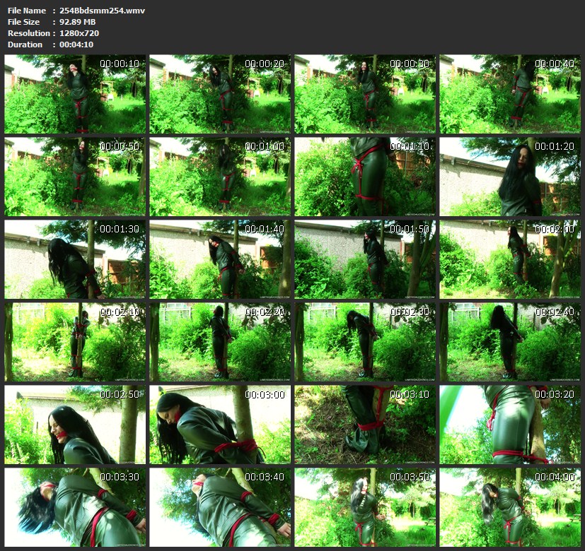 254Bbdsmm254.wmv