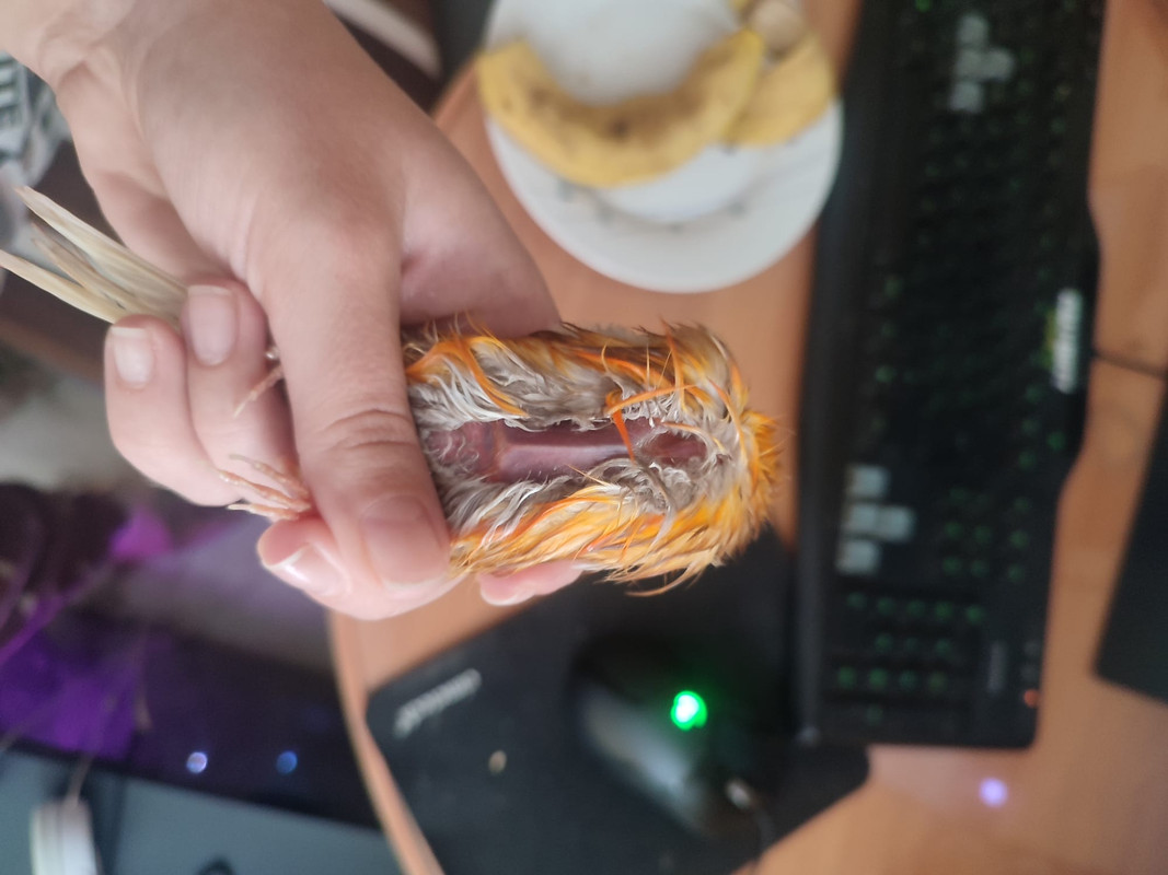 WhatsApp Image 2023-04-10 at 12.46.49 (1)